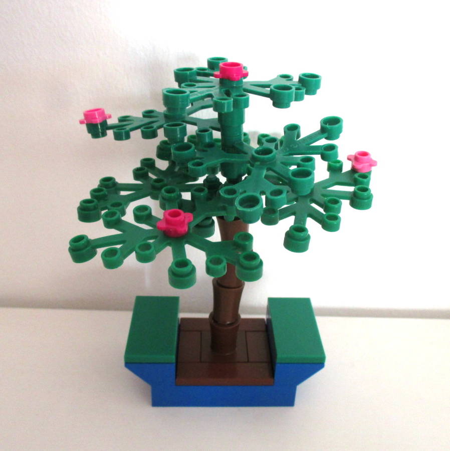 Bonsai