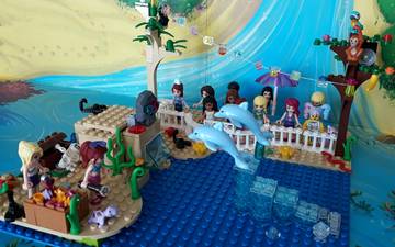 Delfin Show