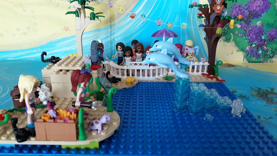 Delfin Show