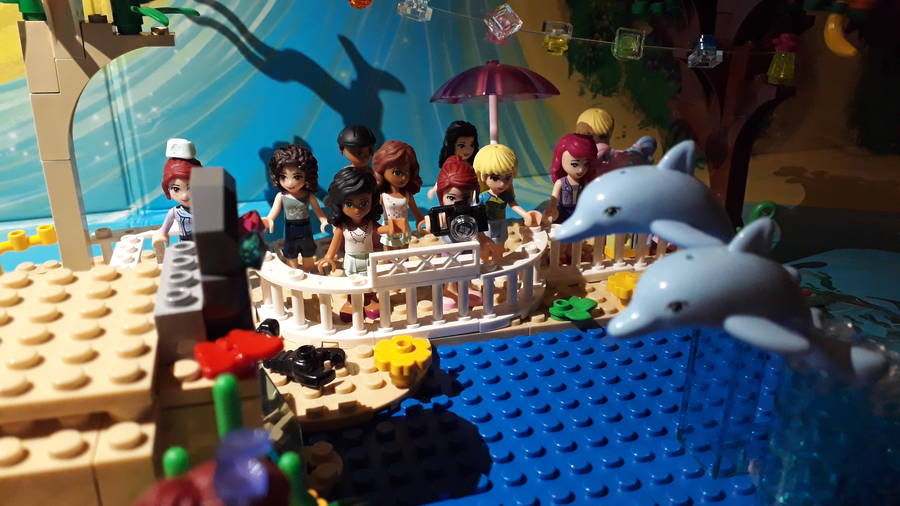 Delfin Show