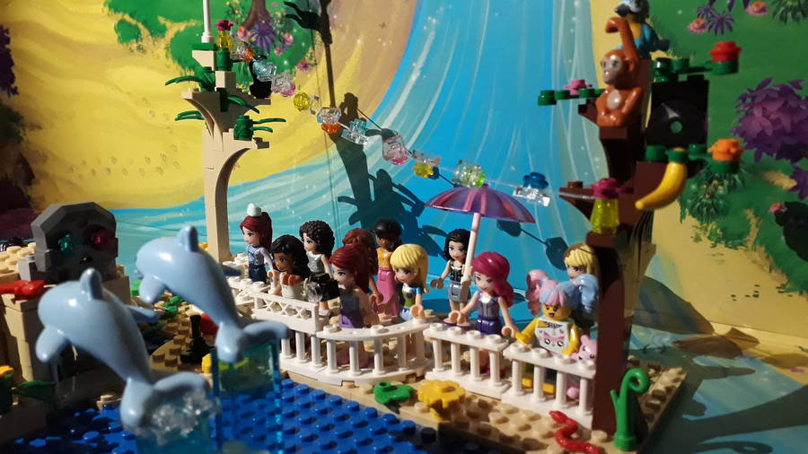 Delfin Show