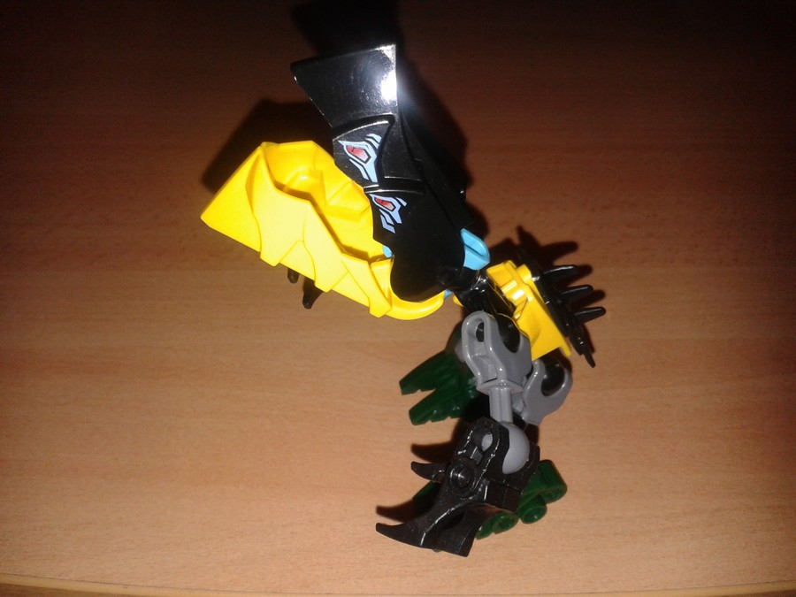 Raptor