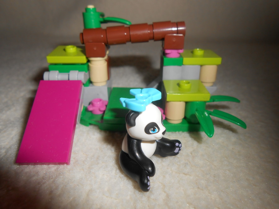 Panda bambusza.