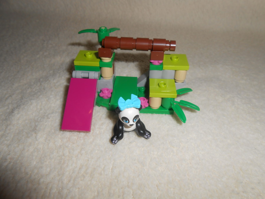 Panda bambusza.