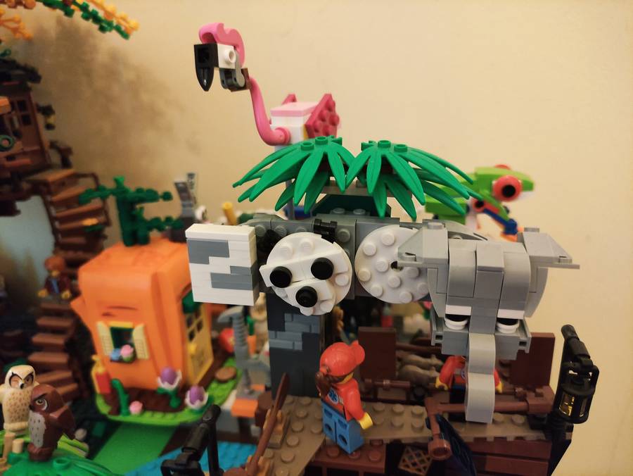 ZOO