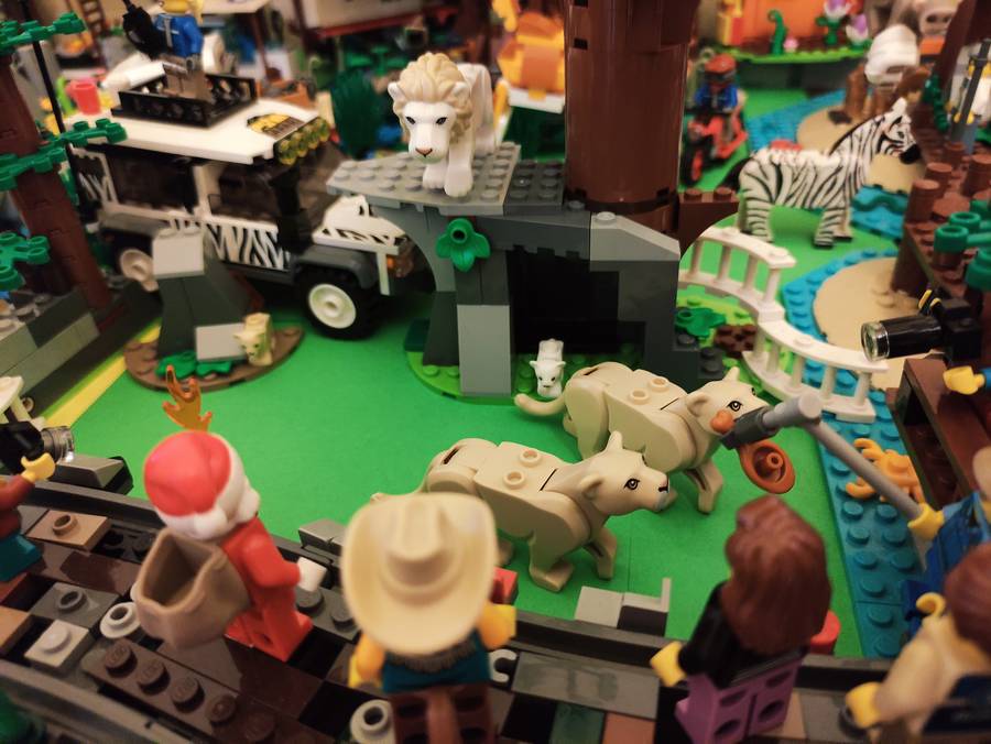 ZOO