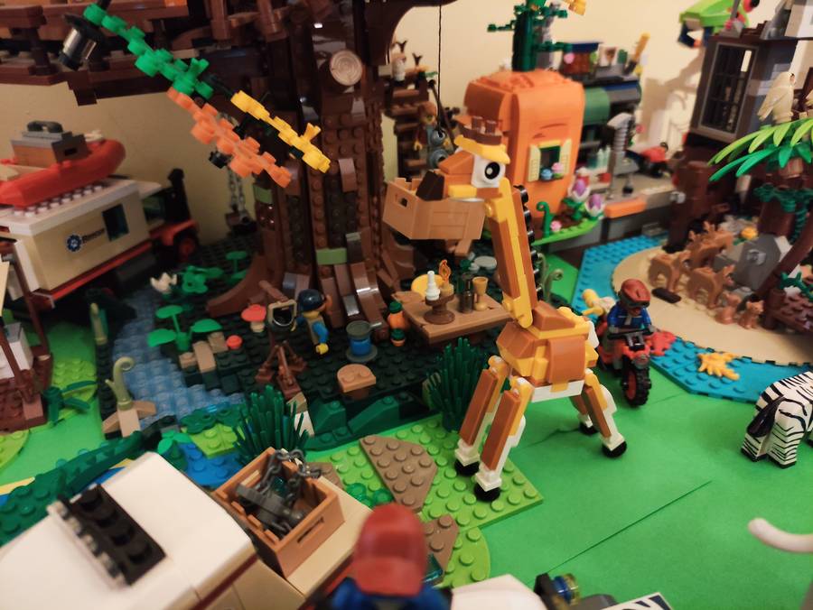 ZOO