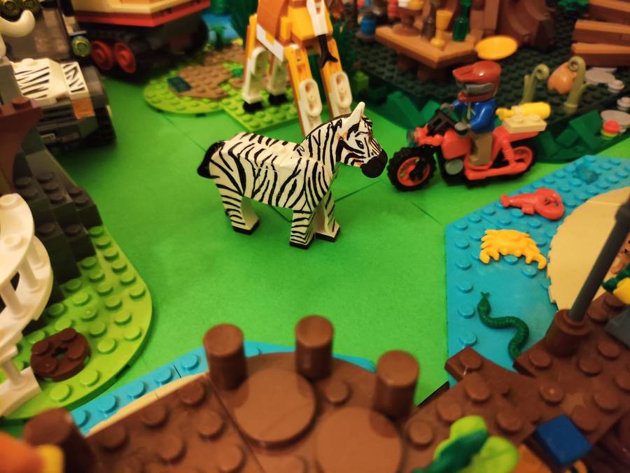 ZOO