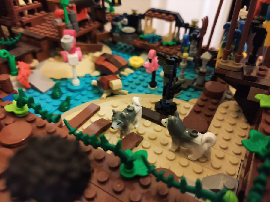 ZOO