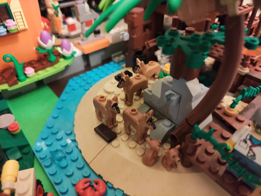 ZOO