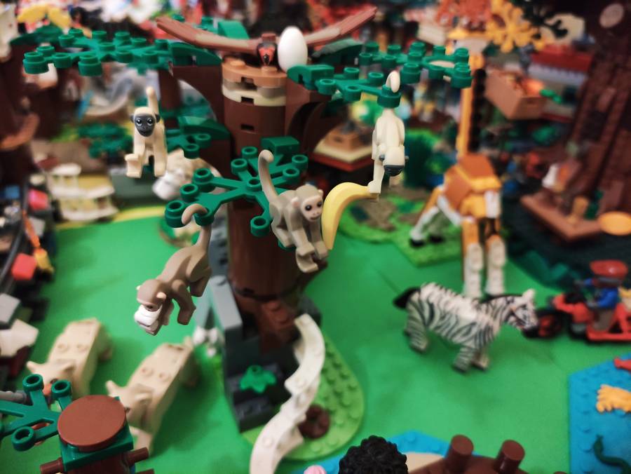 ZOO