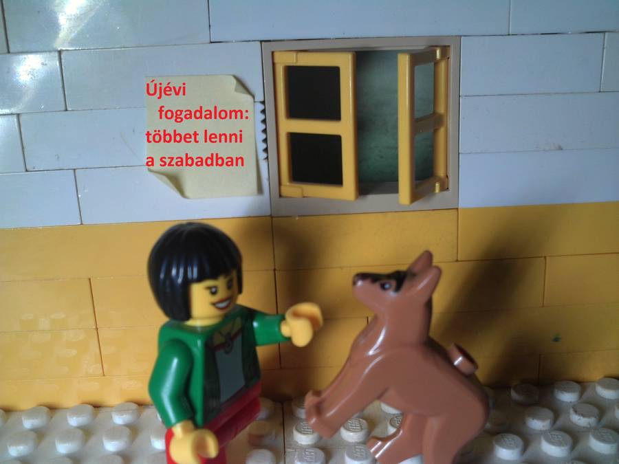 Szilveszteri fogadalmak