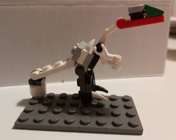 Velociraptor