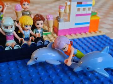 Delfin show