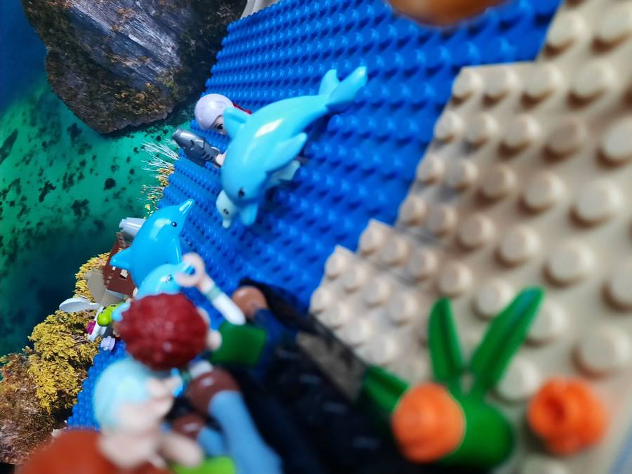Delfin show