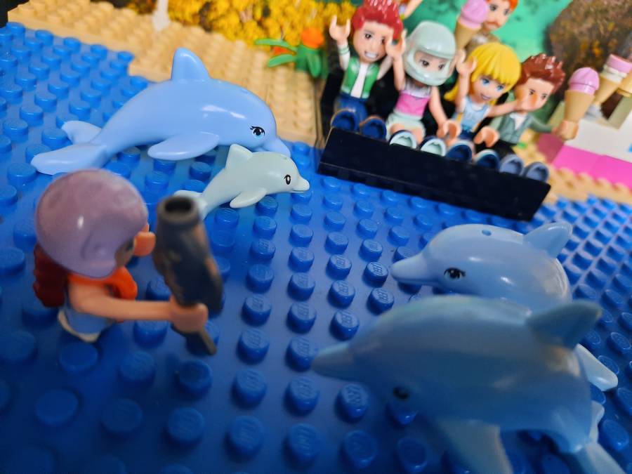 Delfin show