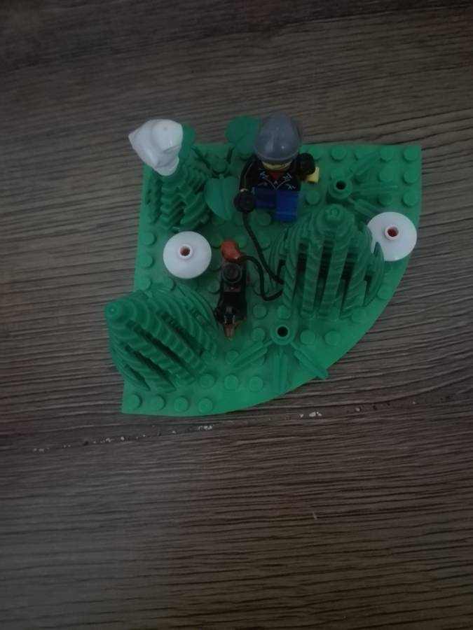 Túrázás kutya sétálltatás közben