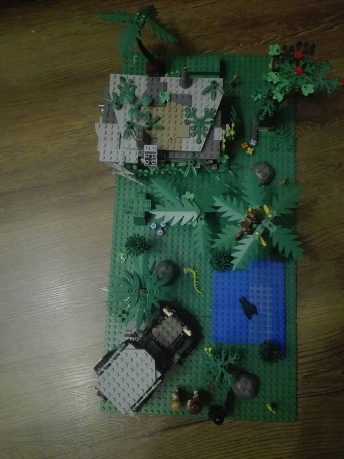 Tomb raider