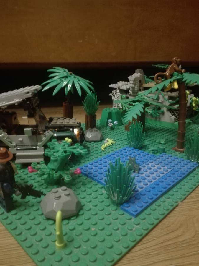 Tomb raider