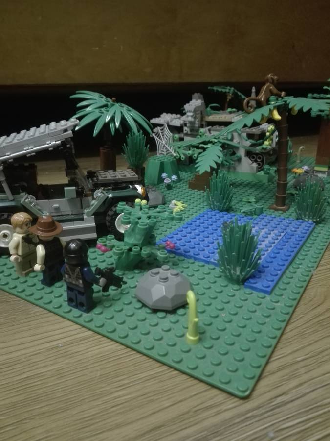 Tomb raider