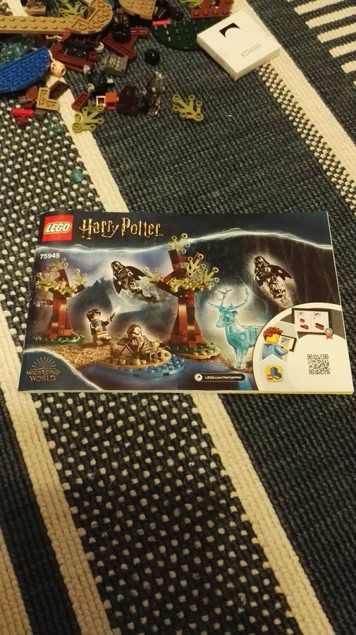 75945-Excepto Patronum