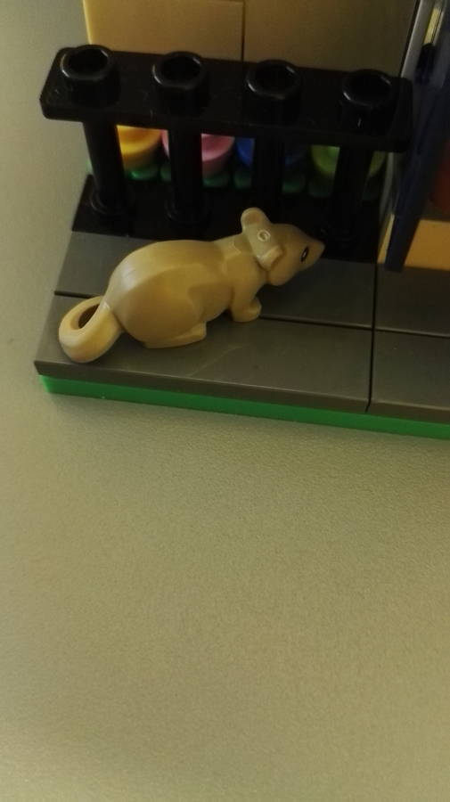 Csokit vagy csínyt!