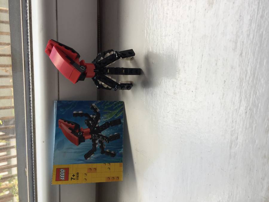 11939 lego polip