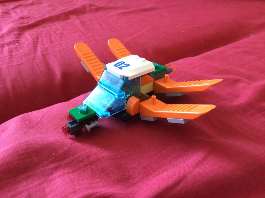 The Bug