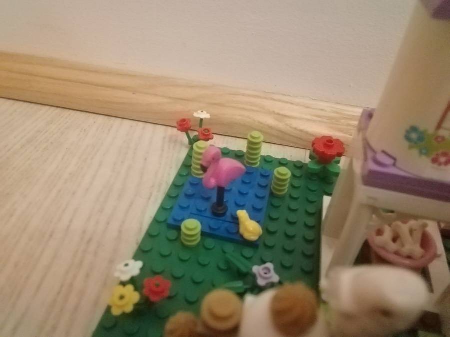 Kisállatváros