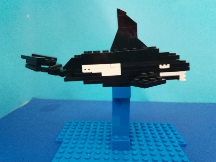 orka
