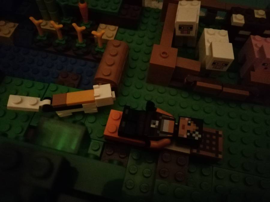 Minecraft  farm
