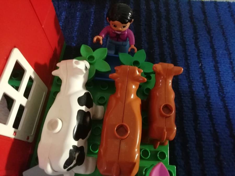 A Duploson család farmja