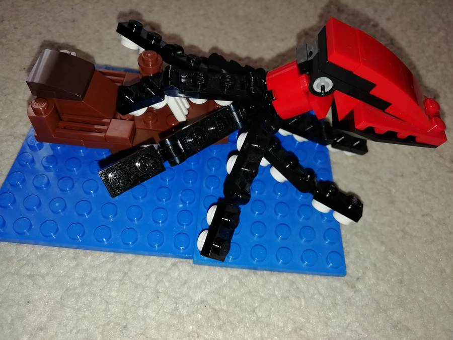Kraken