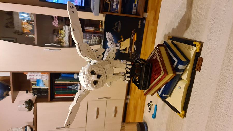 Nagy Hedwig