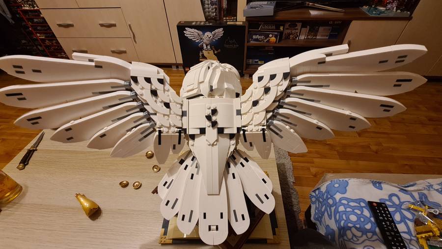 Nagy Hedwig