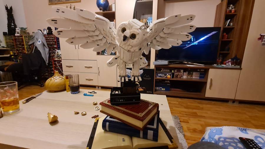 Nagy Hedwig