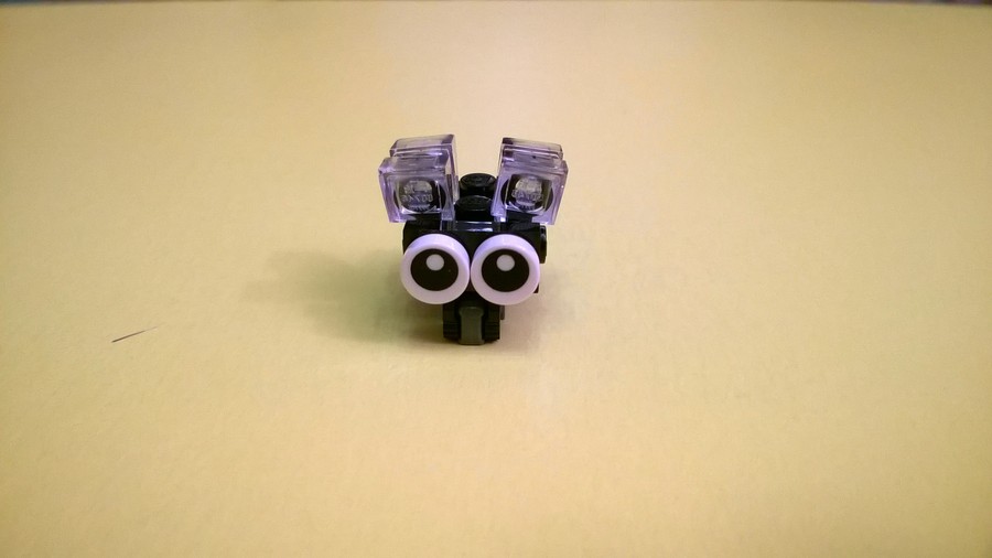 31031