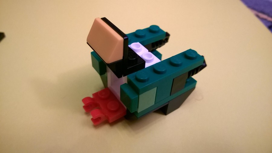 31031