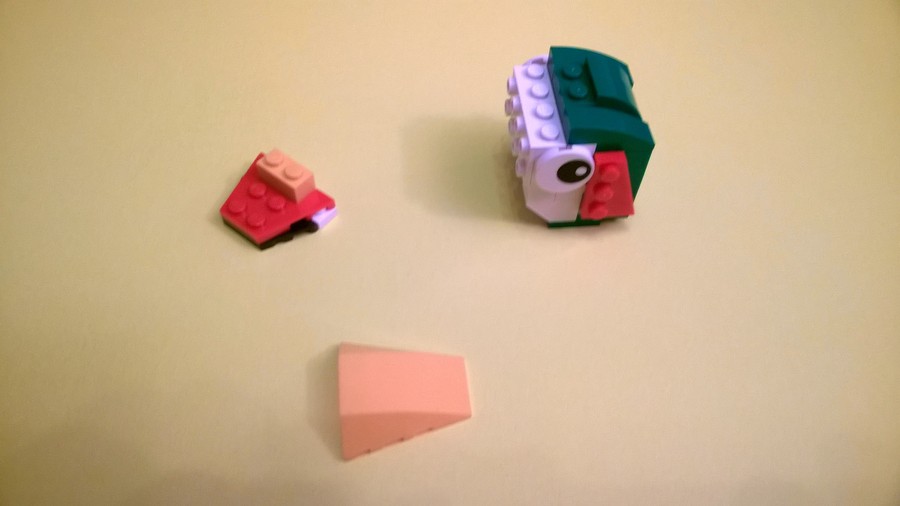 31031