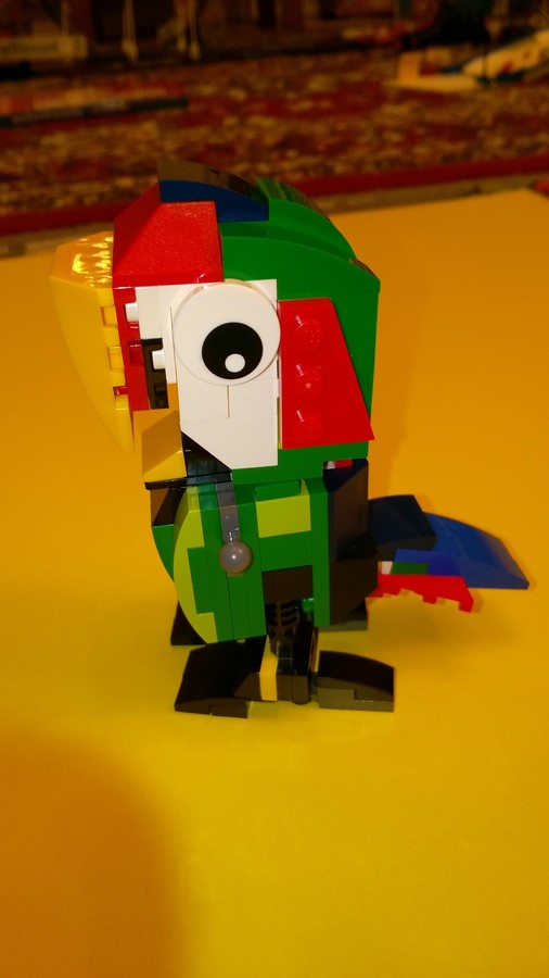31031