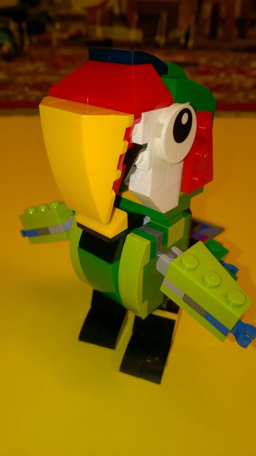 31031
