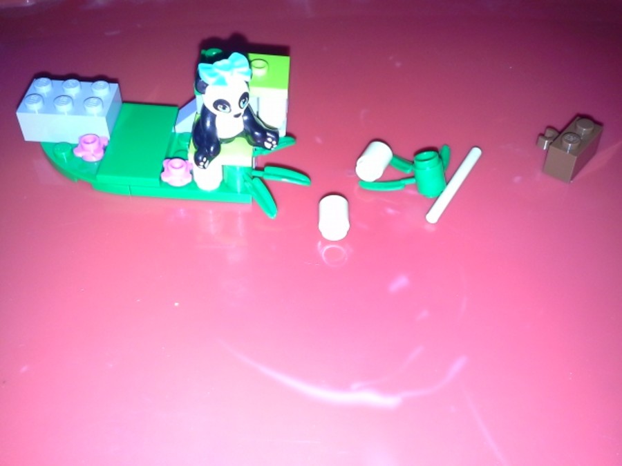 Panda Bambusza