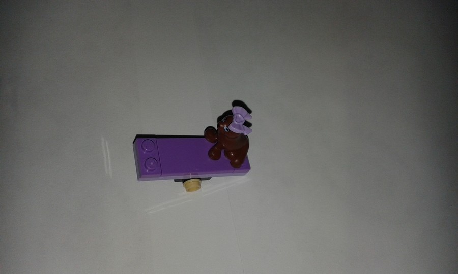 a fóka sziklája