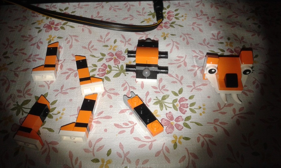 creator tigris