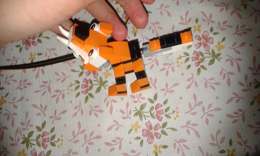 creator tigris