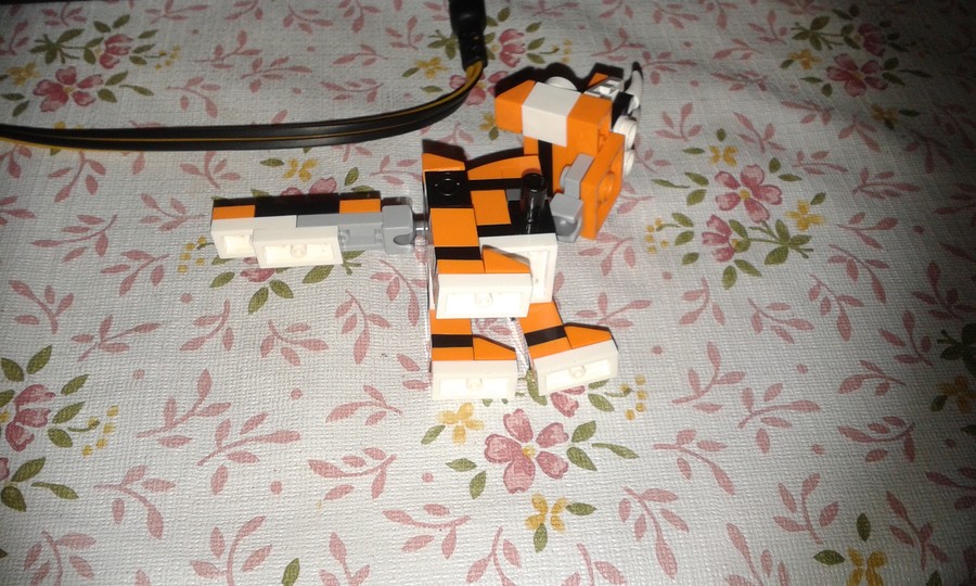 creator tigris