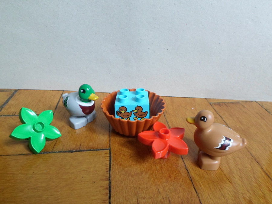 Duplo Kacsák