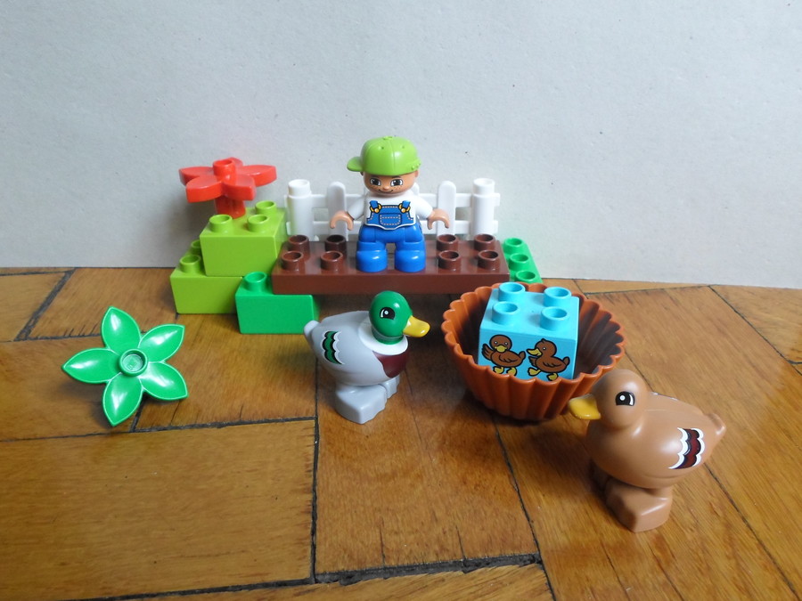 Duplo Kacsák