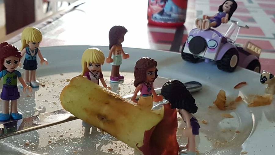 Lego Friends