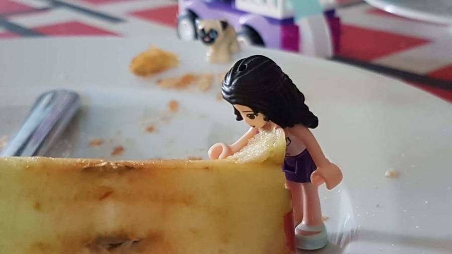 Lego Friends